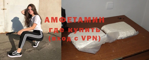 сатива Абаза