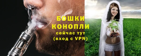 сатива Абаза