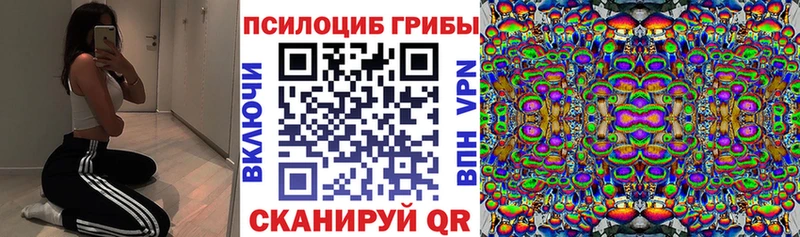 дарнет шоп  Галич  гидра   Псилоцибиновые грибы Cubensis 